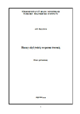 Hususy akyl ýetiriş we patent öwreniş